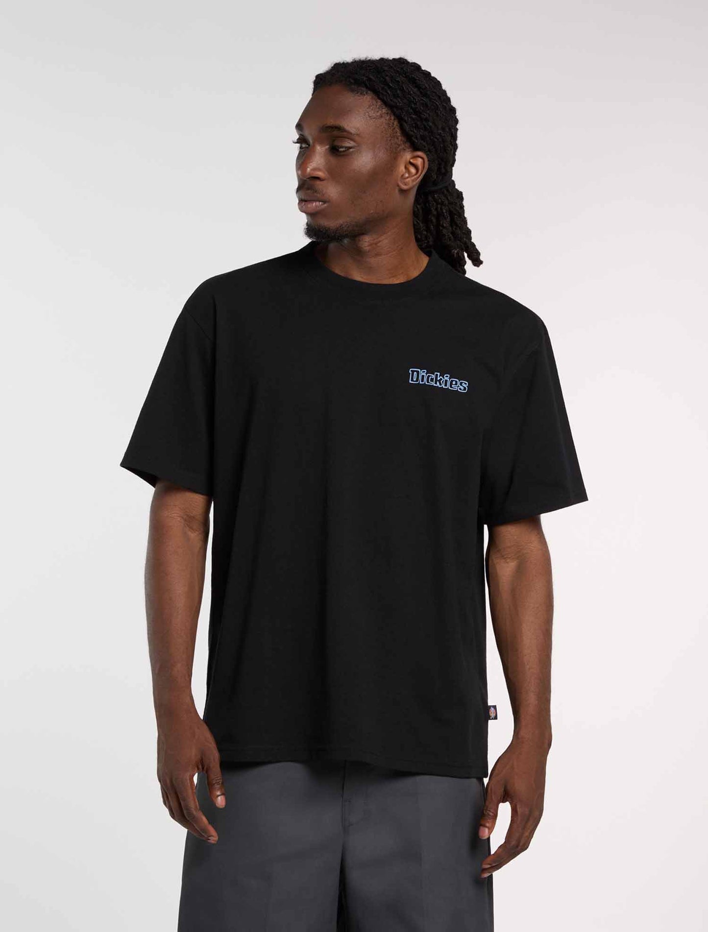 Dickies Fairlawn, t-shirt uomo in cotone nero