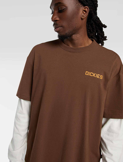T-shirt Dickies Payson 2fer marrone uomo