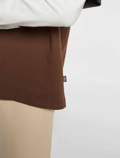 T-shirt Dickies Payson 2fer marrone uomo