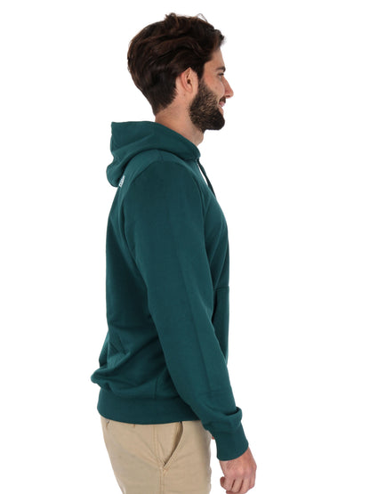 FELPA CON CAPPUCCIO MOUNTAIN LINE THE NORTH FACE UOMO VERDE