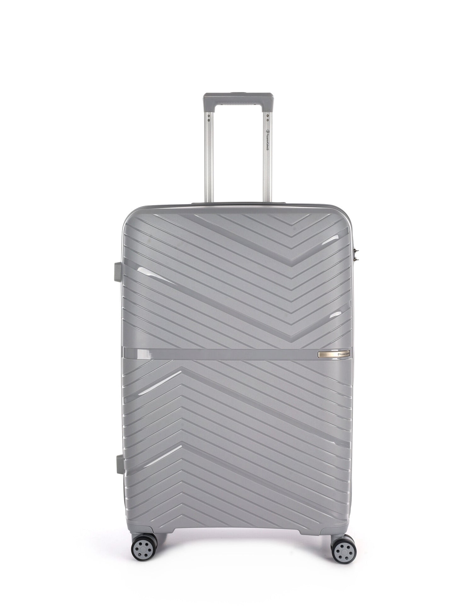 Trolley Nazzareno Gabrielli grande rigido color argento unisex