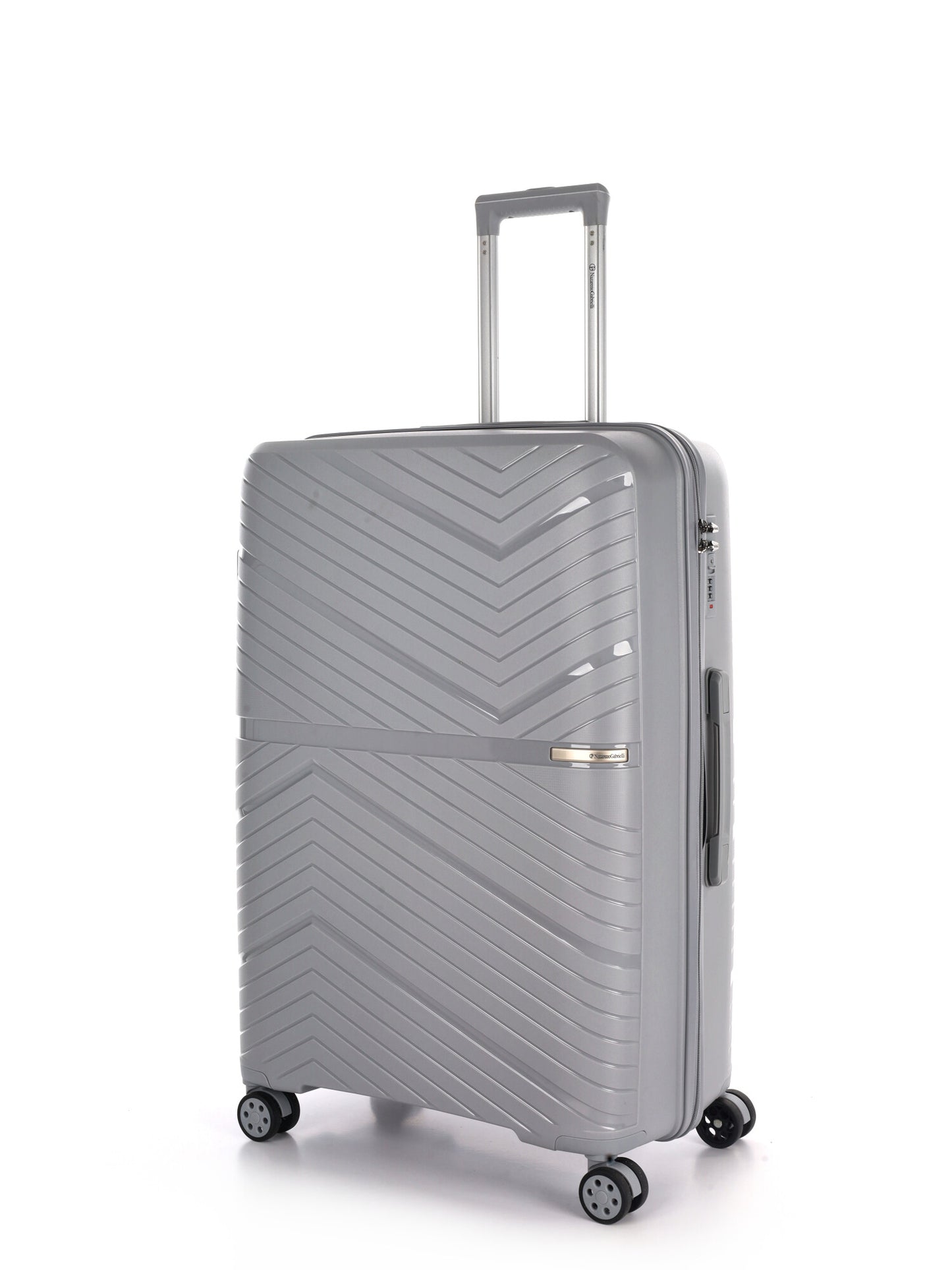 Trolley Nazzareno Gabrielli grande rigido color argento unisex