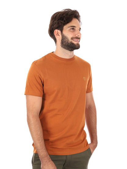 T-SHIRT DUNSTAN RIVER TIMBERLAND DA UOMO RUGGINE