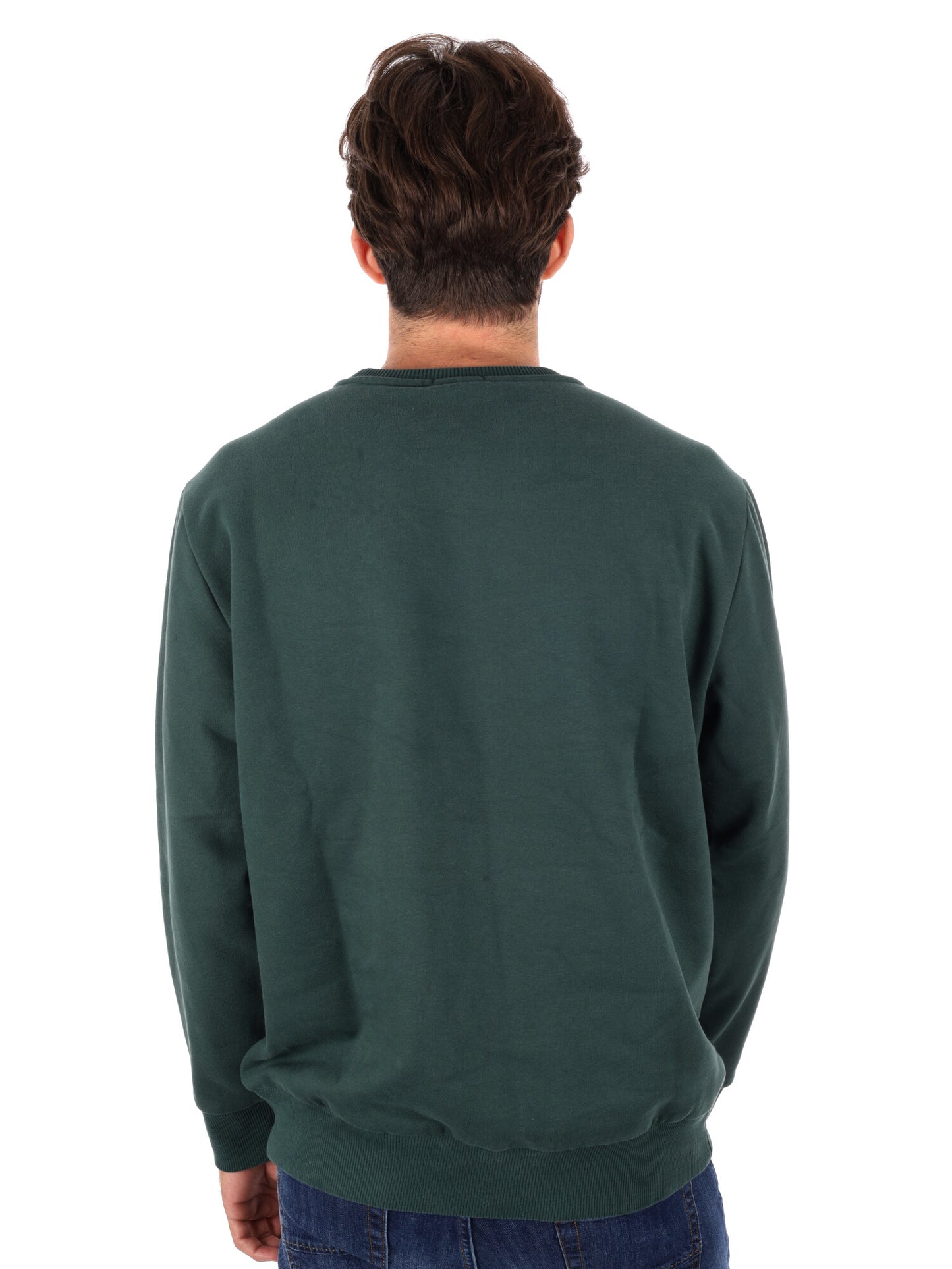 FELPA GIROCOLLO HAMPTON TIMBERLAND DA UOMO VERDE