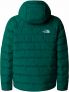 TNF B.REVERS.PERRITO - VERDE - 1