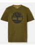 TIMBERLAND T-SHIRT - OLIVA - 1